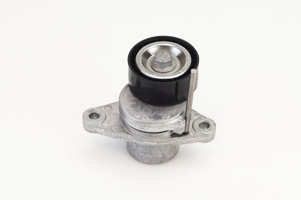 ALTERNATÖR GERGİ RULMANI KÜTÜKLÜ RENAULT LAGUNA III 07>15 DACIA DOKKER 12> DUSTER 10>