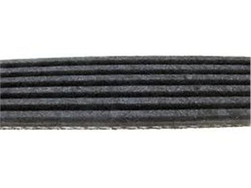 BANDO 6PK0895 KANALLI KAYIŞ P208-P308-P508-P3008-P5008-EXPERT-JUMPY-C4-C5-DS3-DS5 1.6 THP BOXER-JUMPER-DUCATO 2.5 SOLENZA-SCUDO-ASTRA F-CORSA B-CLIO I-II-KNG-CORDOBA - Görsel 1