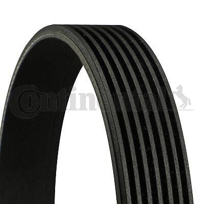 CONTI 7PK1647 7PK1647 Multi V-Belt - Görsel 1