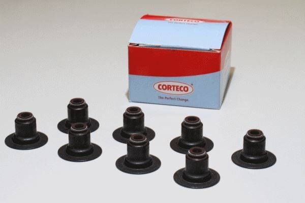CORTECO 19025722 SUPAP LASTİĞİ FORD FOCUS-FİESTA-CMAX 98> 1.25-1.4-1.6 ZETEC EGSOZ 8 ADET - Görsel 1