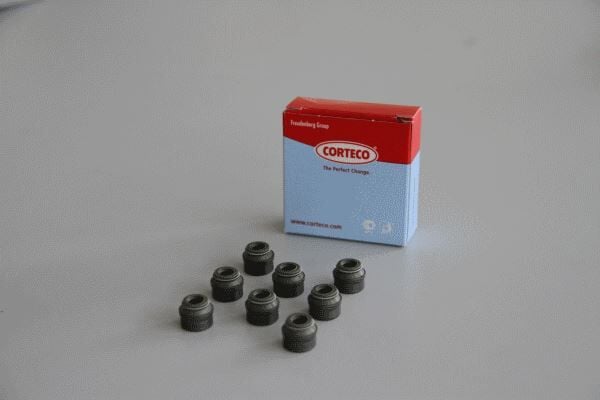 CORTECO 19036114 SUBAP LASTİĞİ VOLVO S40 V40 V50 S60 S70 C70 V70 XC70 S80 S90 V90 XC90 850 960 6 MM BENZINLI - Görsel 1