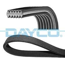 DAYCO 6DPK1215 KANALLI KAYIŞ VW CADDY 1.9TDI SDI 8V 04 > 2.0TDI 8V 07 > TRANSPORTER T5 1.9TDI 8V 03-09 - Görsel 1