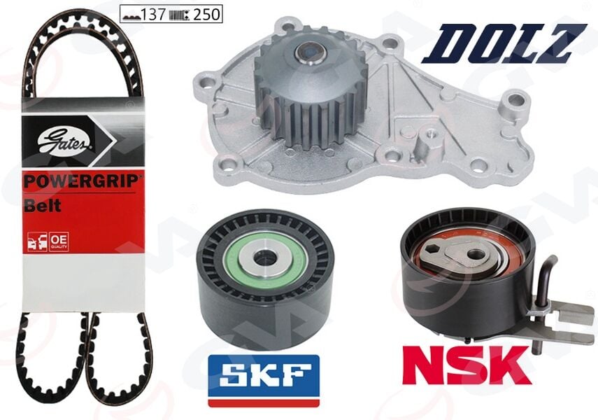 GVA 59WPK4315-1 DEVİRDAİMLİ TRİGER SETİ 137x254 P206-P207-P307-P308-P407-P3008-EXPERT-PARTNER-BERLINGO-JUMPY-C2-C3 -C4-C5-XSARA-FOCUS II-FIESTA V-VI VOLVO S40-C30-V50-FIAT SCUDO EURO4 1.6 HDI-TDCİ - Görsel 1