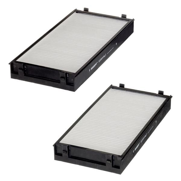 HENGST E2944LI-2 POLEN FILTRESI TAKIMI BMW E70 F15 F85 E71 E72 F16 F86 - Görsel 1
