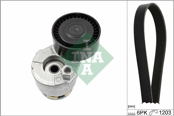 INA 529000910 ALTERNATÖR GERGİ KİTİ KUTUKLU CLIO II 01>06 FLUENCE 10>LAGUNA III 07>15MEGANE II 02>08MEGANE III 08> JUKE F15 10>DUSTER 10>SANDERO II 12> DOKKER 12> 1.4 K4J 1.5 DCI K9K 1.6 K4M K026PK1203 - Görsel 1