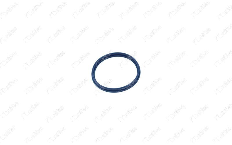 NIFEA 19321 EMME MANİFOLD CONTASI FORD TRANSİT 01> 2.4 TDCİ - Görsel 1