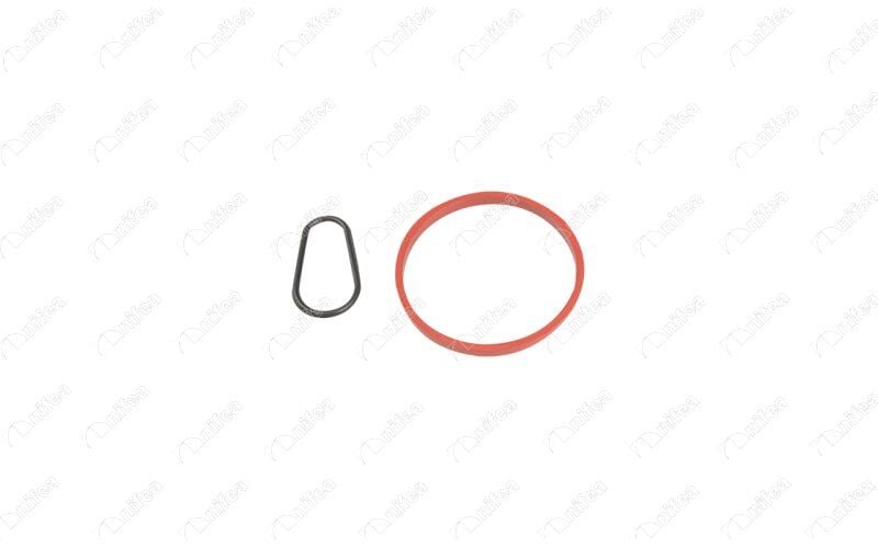 NIFEA 20068 VAKUM POMPA CONTASI COMBO E-CROSSLAND-GRANDLAND-PARTNER-BERLINGO-EXPERT-RIFTER-JUMPY-P208-P308- P200 8-P3008-P508-P5008-P301-C-ELYSEE-C3-C4-DS3-DS4-DS5-FOCUS-FIESTA-C-MAX 1.6 BlueHDI TDCI - Görsel 1
