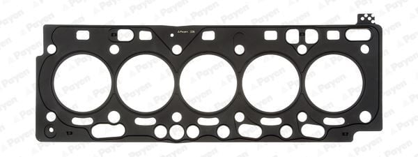 PAYEN AH7230 SKC 1.10 mm VOLVO S60 II-S80-V60-V70 III-XC70 II-SC60 10 > D 5244 T10 / T14 / T16 - Görsel 1
