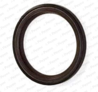 PAYEN NA5317 19036888B YAĞ KEÇESİ VOLVO C30 0-12 C70 10-13 S40 10-12 S60 11-15 S80 01-06 V60 10-11 - Görsel 1