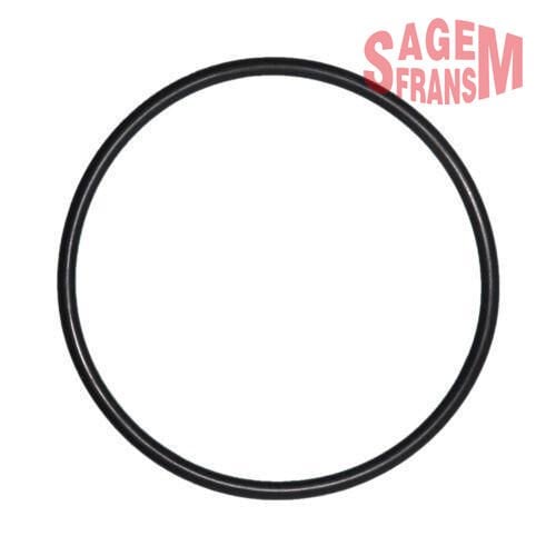 SAGEM 210120 ŞAMANDIRA KAPAK ORİNG MEGANE - LAGUNA - DOBLO - Görsel 1