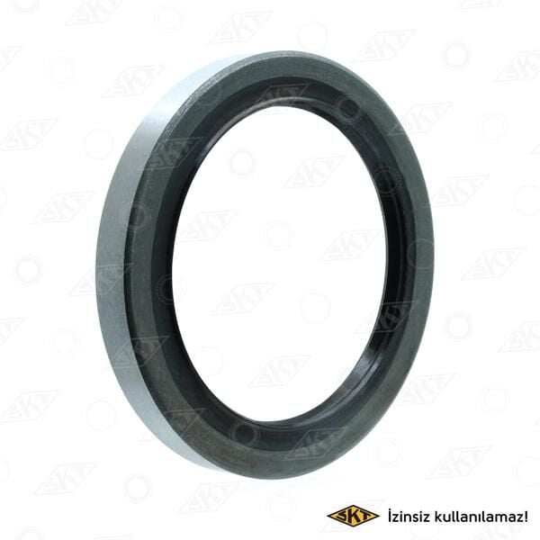 SKT 047842 ARKA PORYA KEÇESİ İÇ H100 62x82x9 - Görsel 1