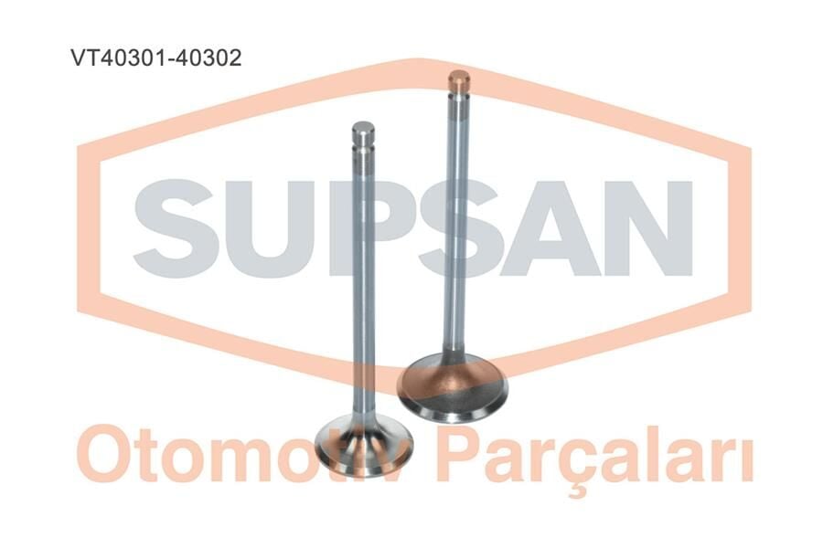 SUPSAN VT40301-40302 SUBAP EMME EGZOZ H100 95-01 - Görsel 1