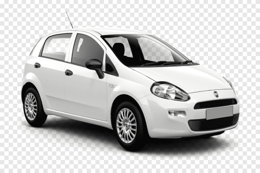 Panda III - Punto III