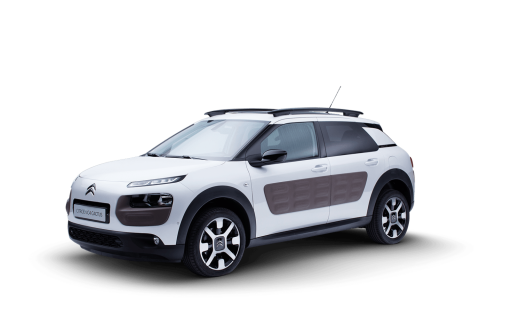 C4 Cactus