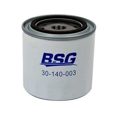 BSG BSG 30-140-003 TAUNUS/GRD/P100/SIERRA YAG FILTRESI (EFL 90)