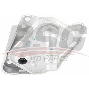 BSG BSG 15-506-005 E46-E81-E82-E87-E88-E90-E91-E92-E93-E60-E61-X1 E84-X3 E83-X3 E83 LCI-Z4 E85 YAG SOGUTUCUSU