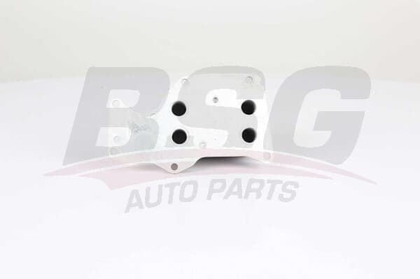 BSG BSG 15-506-018 F20 LCI-F21-F21 LCI-F22-F23-F30 LCI-F31 LCI-F34 GT -F35 LCI-4F32-F33-F34-F36 Gran-5G30-G31-G38-6G32 GT-7G11-G12-X3 G08-X4 G02 YAG RADYATÖRÜ