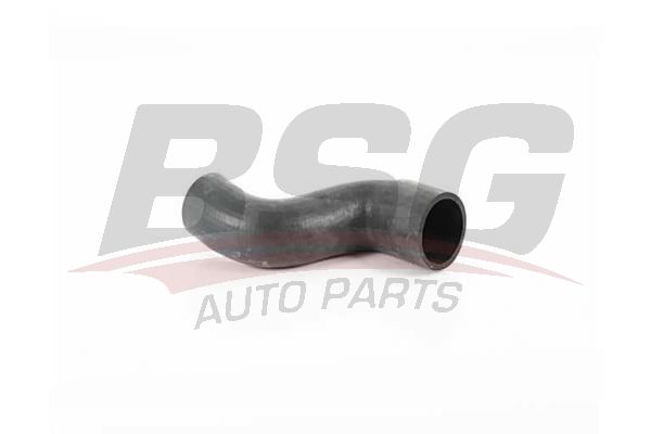 BSG BSG 60-720-017 SPRT.215-315-515CDI TURBO HORTUMU SOL