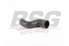 BSG BSG 60-720-017 SPRT.215-315-515CDI TURBO HORTUMU SOL