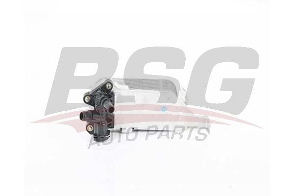 BSG BSG 15-506-043 F20-F20 LCI-F21 -F21 LCI-F22-F23-F30-F30 LCI-F31-F34-F35-F35 LCI-4F32-F33-F36 SANZIMAN YAG SOGUTUCU