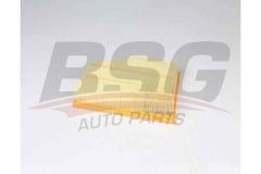 BSG BSG 15-135-016 E60-E61-E63-E64-Z4 E85-Z4 E86 HAVA FILTRESI C30139-LX 944-BLU ADB112224