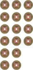 V.REINZ 123443901 SUBAP LASTİĞİ 16 ADET EXPERT-JUMPY-P206-P306-P307-P308-P407-P406-P607-C4-C5-C8-XSARA-SCUDO 1.8-2.0-2.2 16V