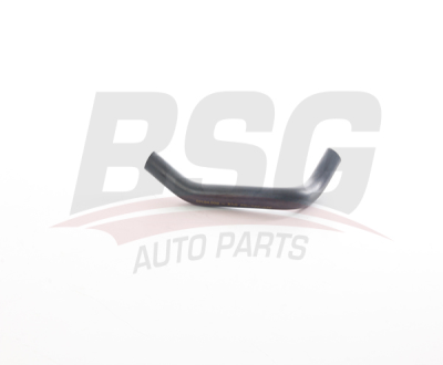 BSG BSG 25-720-076 ALBEA-DOBLO-PALIO-LINEA-500-PANDA HAVA FILTRE HORTUMU