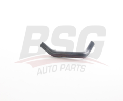 BSG BSG 25-720-076 ALBEA-DOBLO-PALIO-LINEA-500-PANDA HAVA FILTRE HORTUMU