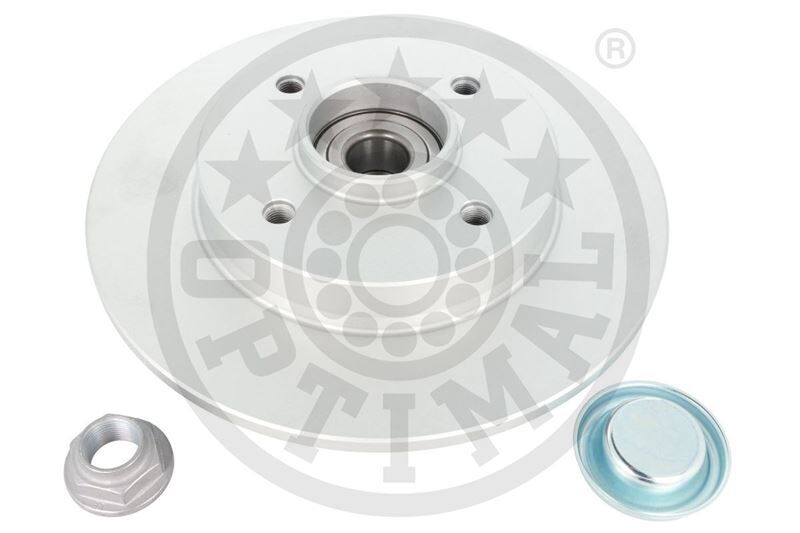 OPTIMAL 602893BS1 ARKA FREN AYNASI ADET P307-C4 1.4-1.6-2.0 HDİ 05> 249x9x4DL PORYALI