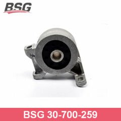 BSG BSG 30-700-259 MONDEO SANZUMAN TAKOZU ALT