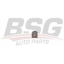 BSG BSG 90-700-169 POLO-CORDOBA-FABIA VIRAJ DEMIR LASTIGI ÖN 27642 / 35888 01 (18 MM) (SIRTLI)