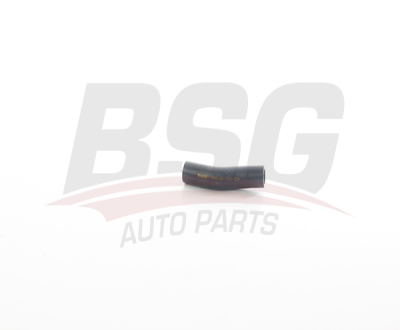 BSG BSG 25-720-109 ALBEA-PALIO-DOBLO-LINEA-G.PUTO YAGLAMA HORTUMU