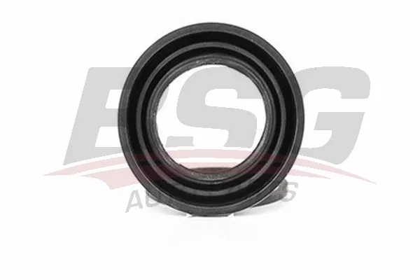BSG BSG 30-251-014 CONNECT KALIPER PISTON TAMIR TAKIMI ÖN