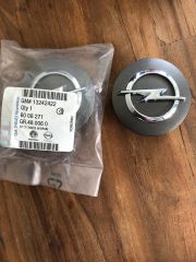 OE-OPEL 13242422 INSIGNIA A JANT KAPAGI TANIM QR