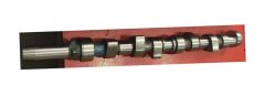 ESTAS 45044 EKSANTRİK MİLİ EMME LGN II-MGN II 1.6 16V OKUYUCULU ÇELİK