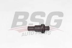 BSG BSG 90-125-010 GOLF5-GOLF6-JETTA-Q3 TERMOSTAT TH 5 75 (75°C GÖVDE ILE)