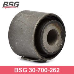 BSG BSG 30-700-262 MONDEO DIFERANSIYEL BURCU