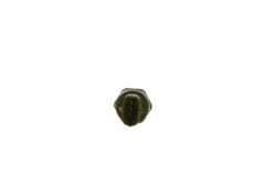 BOSCH 0281002903 BASINÇ SENSÖRÜ DOBLO 01 >LINEA 07 >PUNTO 03>GRANDE PUNTO 06>500 08>1.3-1.6 DMTJ-DUCATO 2.3D-3.0D 06>