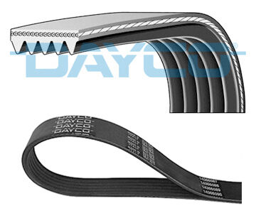 DAYCO 5PK853 850 K 5 KANALLI KAYIŞ 5 KNL.R11-FLASH-R21-MNGR PEUGEOT-CITROEN P605-P405-XSARA-XM 58353