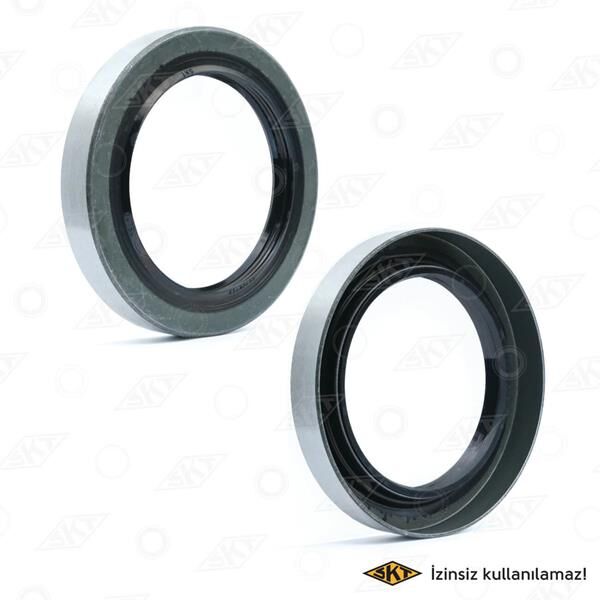 SKT 047841 ARKA PORYA KEÇESİ İÇ STAREX H1 65x92x13