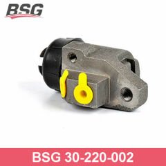 BSG BSG 30-220-002 TRANSIT FREN SILINDIRI ÖN SAG