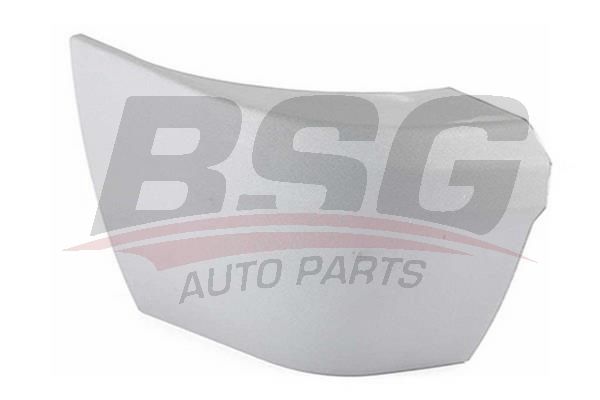 BSG BSG 30-920-010 CONNECT TAMPON KÖSESI ARKA SOL (ASTARLI)
