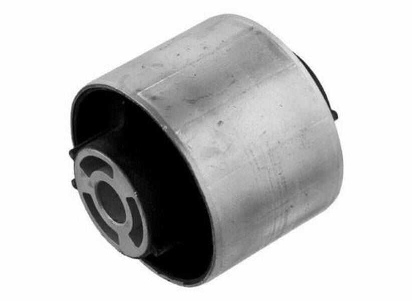 SALINCAK BURCU ARKA SHARAN