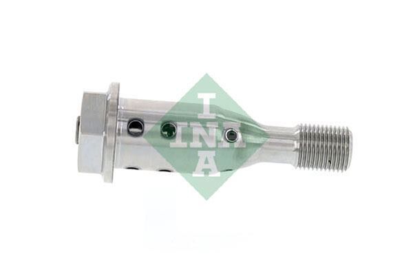 INA 427002110 EKSANTRIK MILI AYAR VENTILI BMW N20 N26 F20 F21 F22 F23 F30 F31 F34 F35 F32 F33 F36 F07 F10 F11 F18 E84 F25 F26 F15 F16 E89
