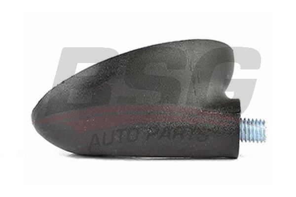 BSG BSG 30-922-113 FOCUS/FIESTA/FUSION/MONDEO ANTEN GÖVDESI (ERKEK TIP)