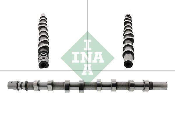 INA 428018510 EKSANTRİK MİLİ EMME ESPACE III 00>02 LAGUNA II 01>06 VEL SATIS 04> TRAFIC II 01>06 MASTER II 01>07 OPEL VIVARO A 06> MOVANO B 01> 2.2dCi 2.5dCi