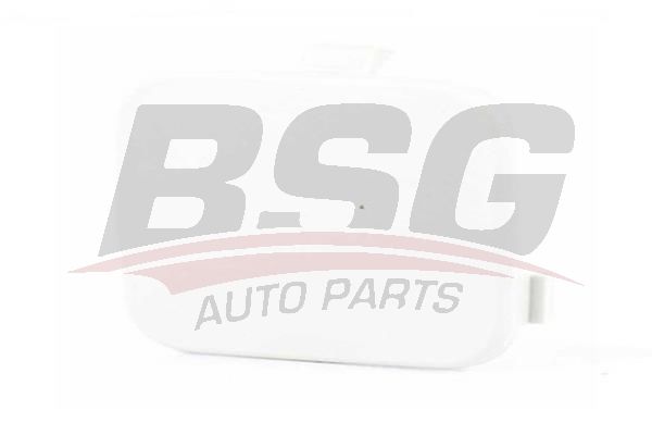 BSG BSG 30-922-059 FOCUS ÇEKI DEMIR KAPAGI ARKA SEDAN