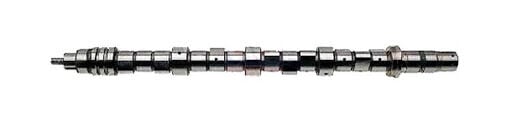 GEMSAFT PTPRT06 EKSANTRİK MİLİ EMME P1007 P206 P207 P307 P308 P3008 P5008 P407 PARTNER II III EXPERT III BERLIN II III C2 C3 I II III C4 C4 PICASSO C5 II III JUMPY III 1.6HDI FOCUS II 1.6 TDCI 04>11