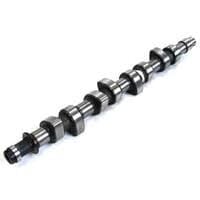 GEMSAFT PTPRT07 EKSANTRİK MİLİ EGSOZ ÇELİK PARTNER-BERLINGO-P206-P207-P307-P308-P3008-P407-P5008-C2-C3-C4-C5-JUMPY FIESTA 02>08-FOCUS II 04>11- FUSION 04>14-VOLVO S40-S80-V50-V70 1.6 16V HDI TDCI