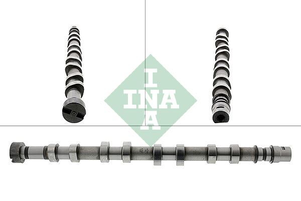 INA 428018610 EKSANTRIK MILI EGZOZ ESPACE III 00>02 LAGUNA II 01>06 VEL SATIS 04> TRAFIC II 01>06 MASTER II 01>07 OPEL VIVARO A 06> MOVANO B 01> 2.2dCi 2.5dCi